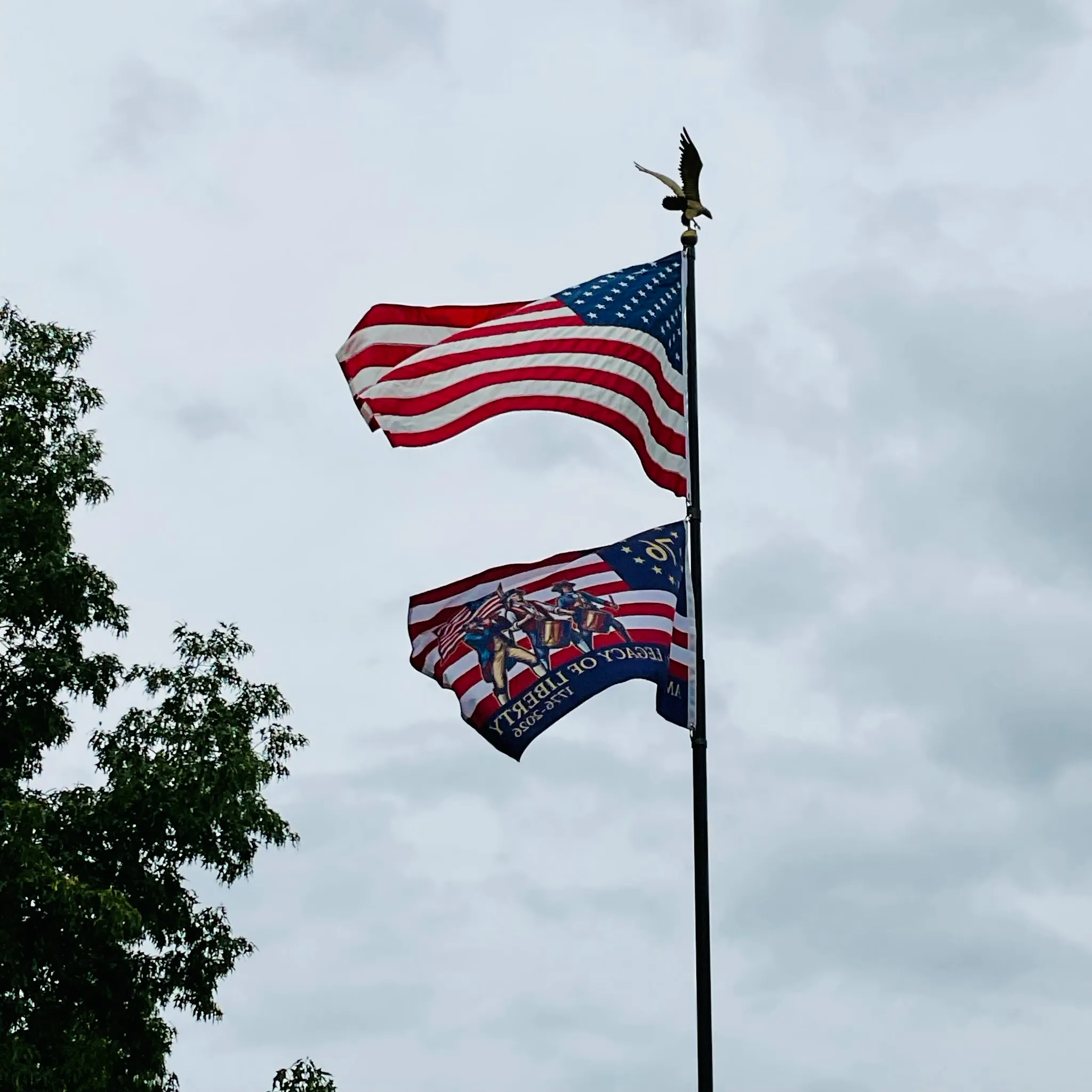 Verified customer flying the America 250 Legacy of Liberty flag