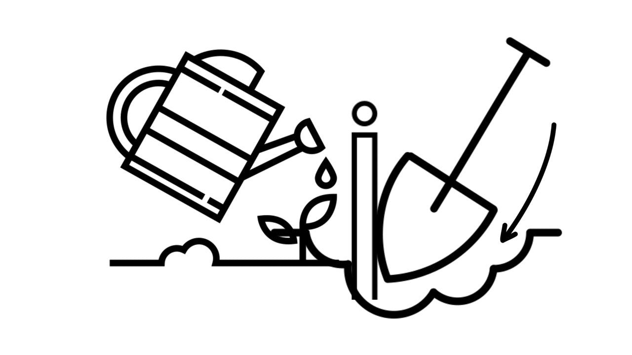 After you order — step 2